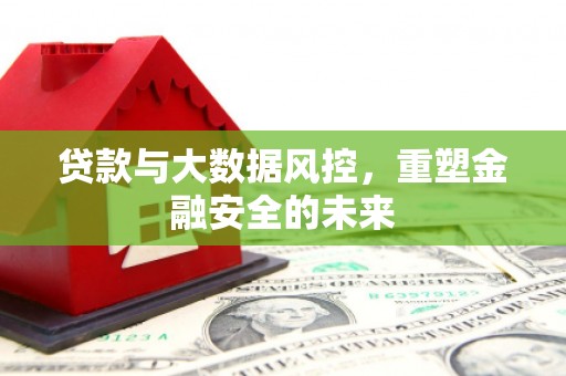 卢氏贷款与大数据风控，重塑金融安全的未来