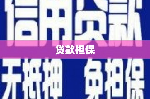 卢氏贷款担保