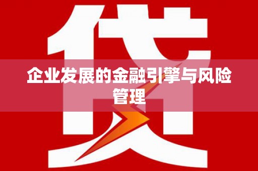 卢氏企业发展的金融引擎与风险管理