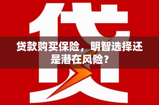 卢氏贷款购买保险，明智选择还是潜在风险？