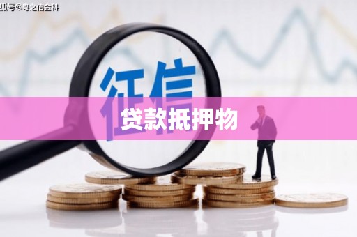 卢氏贷款抵押物