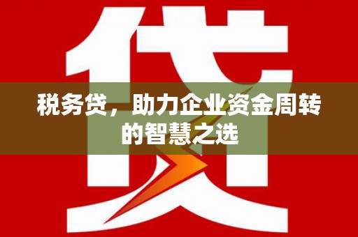 卢氏税务贷，助力企业资金周转的智慧之选