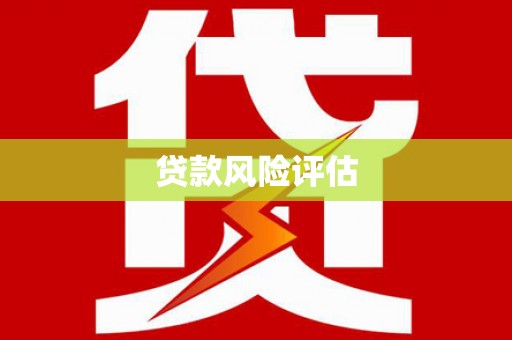 卢氏贷款风险评估