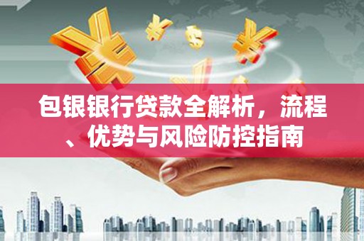 卢氏包银银行贷款全解析，流程、优势与风险防控指南