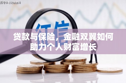 卢氏贷款与保险，金融双翼如何助力个人财富增长