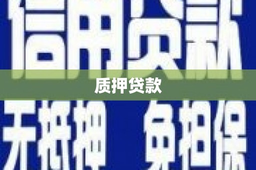 卢氏质押贷款