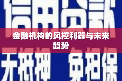 卢氏金融机构的风控利器与未来趋势
