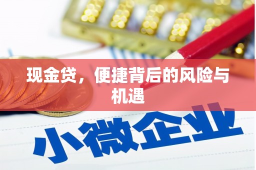 卢氏现金贷，便捷背后的风险与机遇