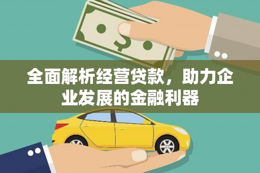 卢氏全面解析经营贷款，助力企业发展的金融利器