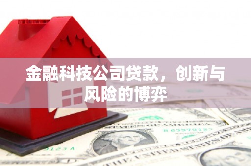卢氏金融科技公司贷款，创新与风险的博弈