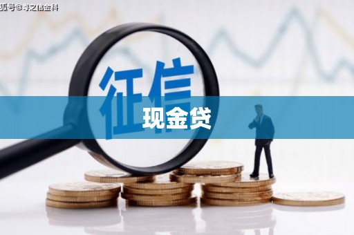 卢氏现金贷