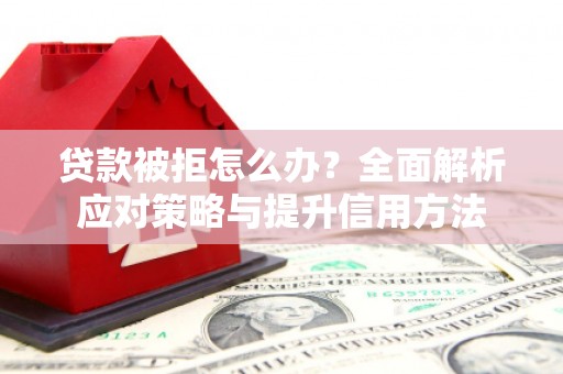 卢氏贷款被拒怎么办？全面解析应对策略与提升信用方法