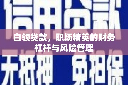 卢氏白领贷款，职场精英的财务杠杆与风险管理