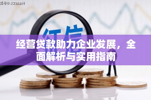 卢氏经营贷款助力企业发展，全面解析与实用指南