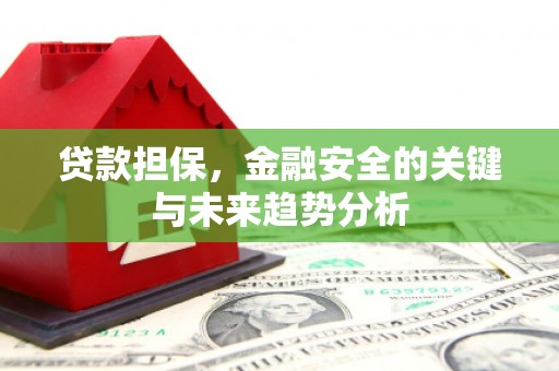 卢氏贷款担保，金融安全的关键与未来趋势分析