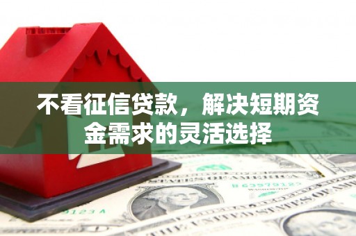 卢氏不看征信贷款，解决短期资金需求的灵活选择