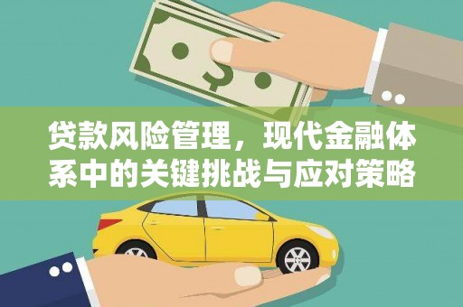 卢氏贷款风险管理，现代金融体系中的关键挑战与应对策略
