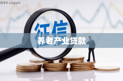 卢氏养老产业贷款