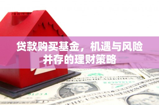 卢氏贷款购买基金，机遇与风险并存的理财策略