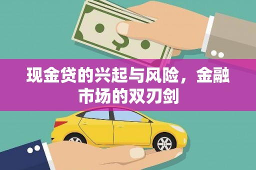 卢氏现金贷的兴起与风险，金融市场的双刃剑
