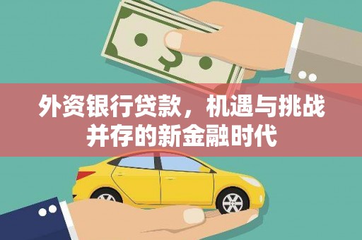 卢氏外资银行贷款，机遇与挑战并存的新金融时代