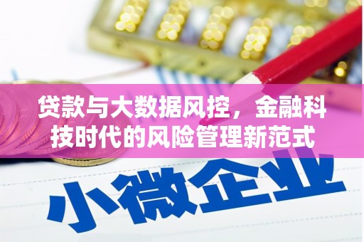 卢氏贷款与大数据风控，金融科技时代的风险管理新范式