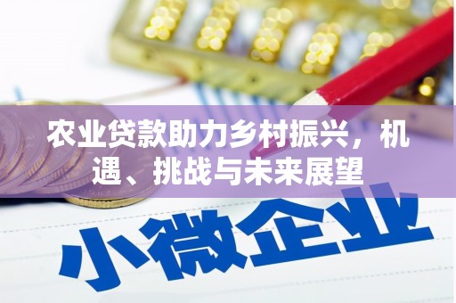 卢氏农业贷款助力乡村振兴，机遇、挑战与未来展望