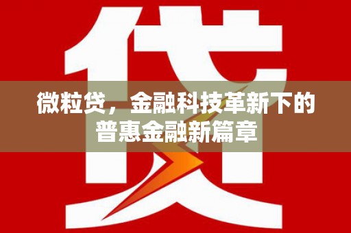 卢氏微粒贷，金融科技革新下的普惠金融新篇章