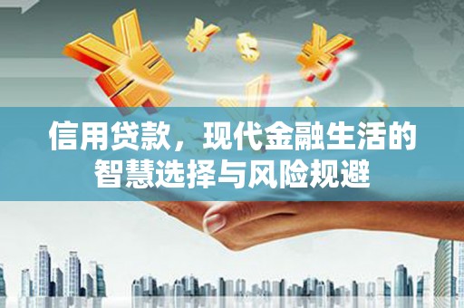 卢氏信用贷款，现代金融生活的智慧选择与风险规避