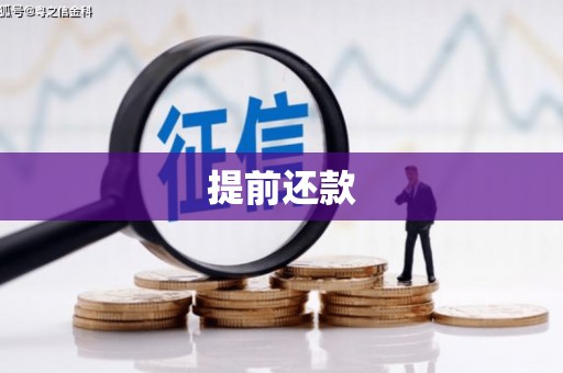 卢氏提前还款