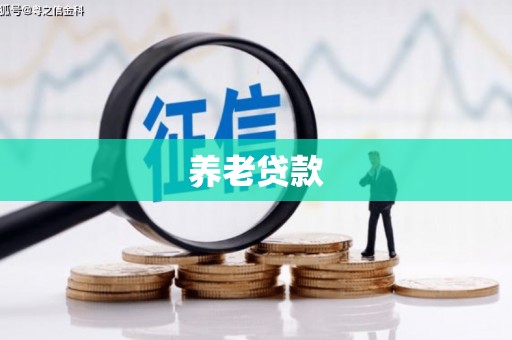 卢氏养老贷款