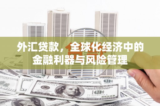 卢氏外汇贷款，全球化经济中的金融利器与风险管理