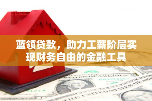 卢氏蓝领贷款，助力工薪阶层实现财务自由的金融工具
