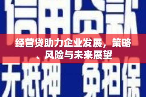 卢氏经营贷助力企业发展，策略、风险与未来展望