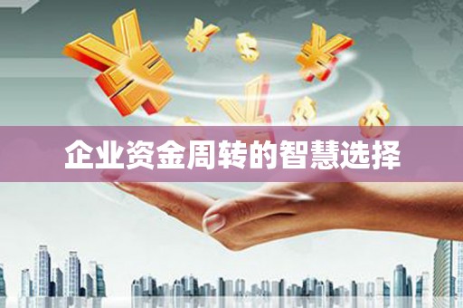卢氏企业资金周转的智慧选择