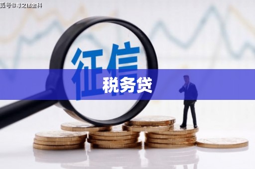 卢氏税务贷
