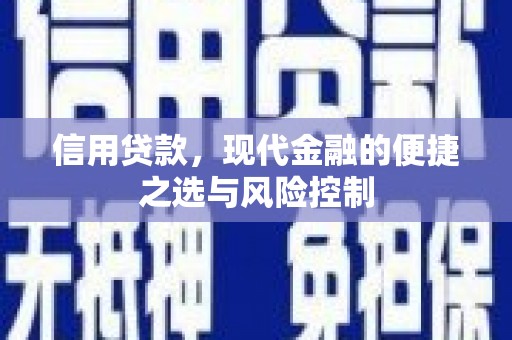 卢氏信用贷款，现代金融的便捷之选与风险控制