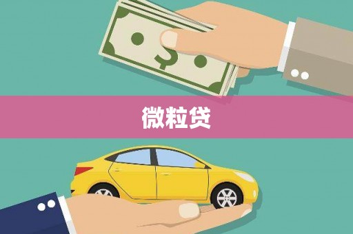 卢氏微粒贷