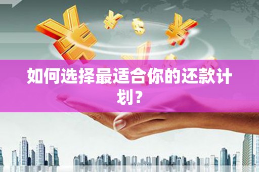 卢氏如何选择最适合你的还款计划？