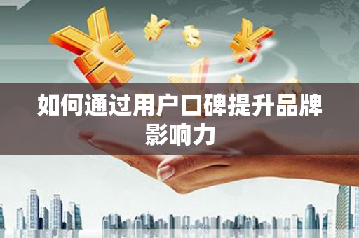 卢氏如何通过用户口碑提升品牌影响力