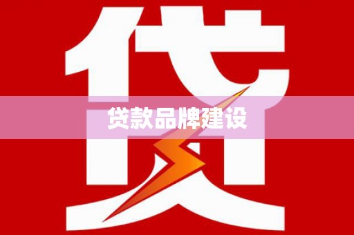 卢氏贷款品牌建设