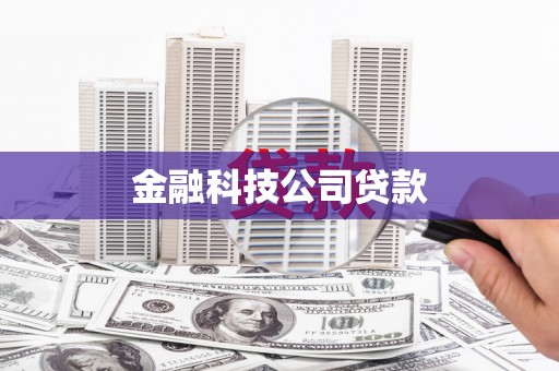 卢氏金融科技公司贷款