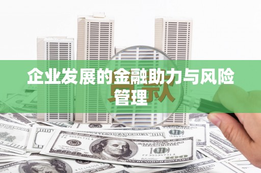 卢氏企业发展的金融助力与风险管理