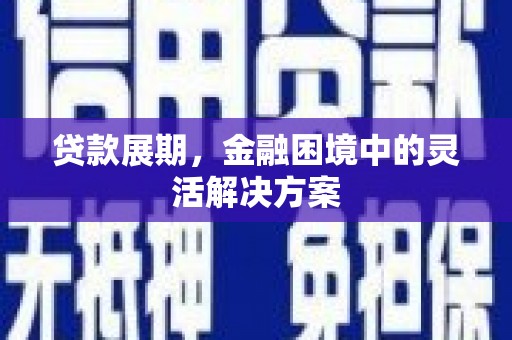 卢氏贷款展期，金融困境中的灵活解决方案