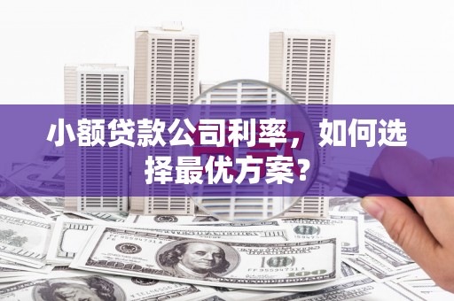 卢氏小额贷款公司利率，如何选择最优方案？