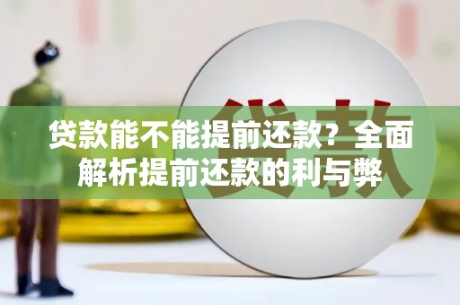 卢氏贷款能不能提前还款？全面解析提前还款的利与弊
