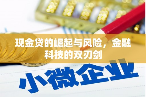 卢氏现金贷的崛起与风险，金融科技的双刃剑