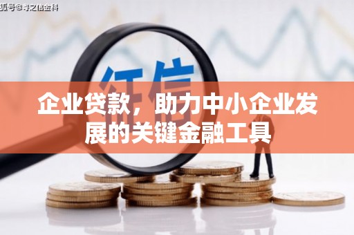 卢氏企业贷款，助力中小企业发展的关键金融工具