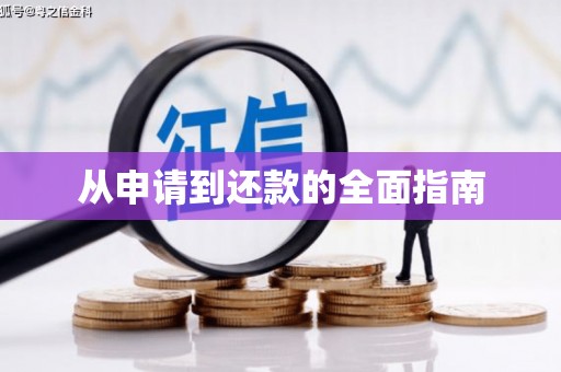 卢氏从申请到还款的全面指南