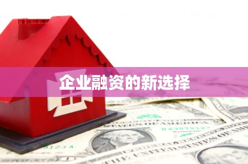 卢氏企业融资的新选择